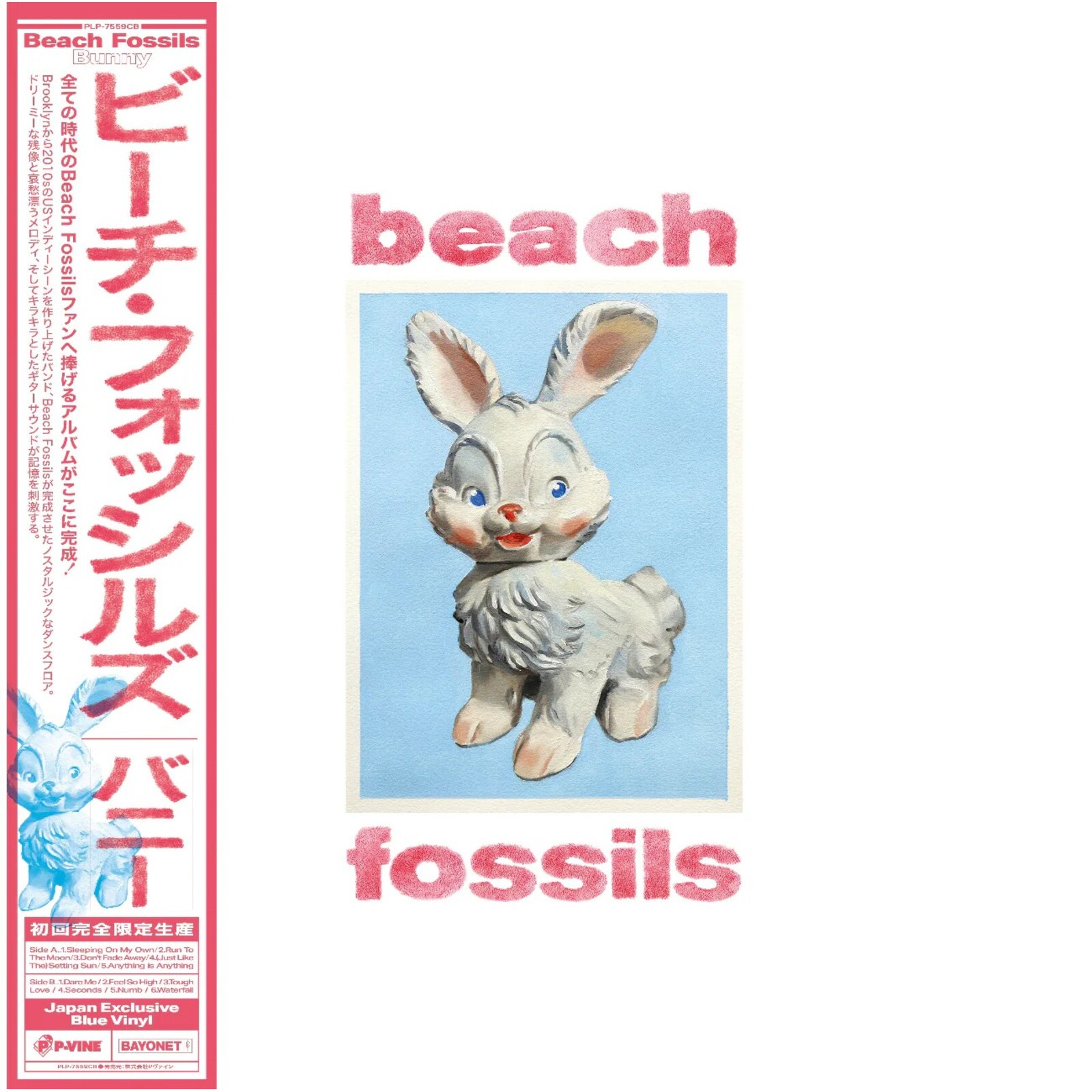 Picture of Beach Fossils - Bunny