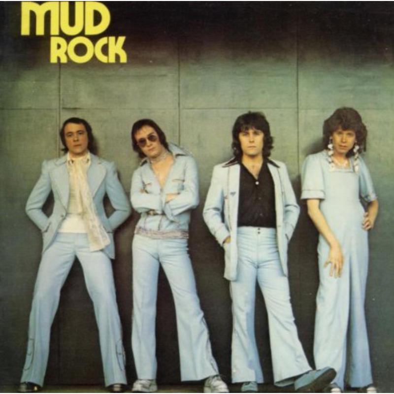 Picture of Mud - Mud Rock