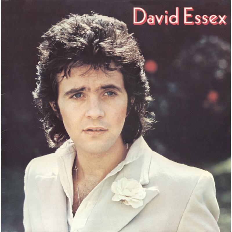 Picture of David Essex - David Essex
