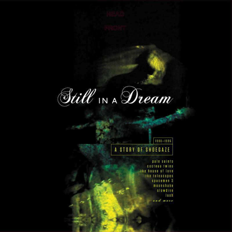 Picture of Various Artists - Still In A Dream