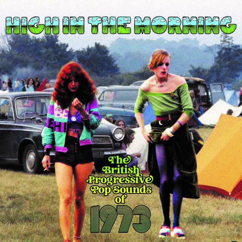 Picture of Various Artists - High In The Morning - British Progressive Pop Sounds Of 1973