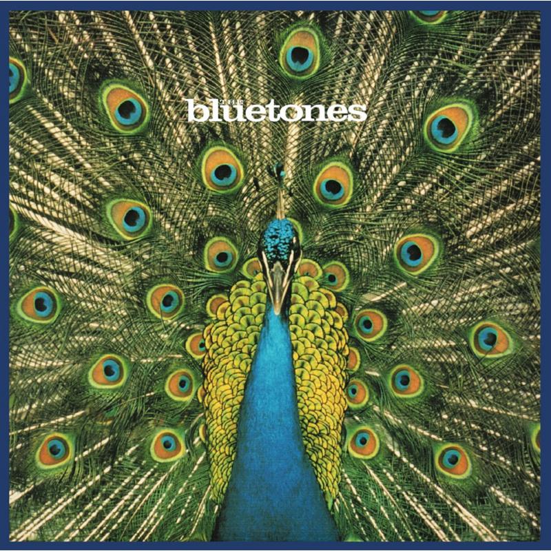 Picture of The Bluetones - Expecting To Fly