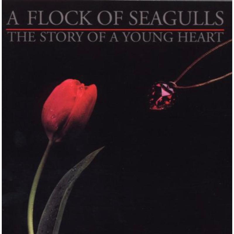 Picture of A Flock Of Seagulls - The Story Of A Young Heart