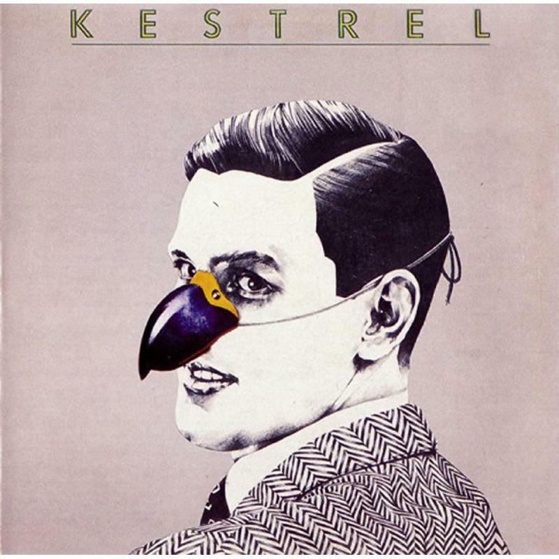 Picture of Kestrel - Kestrel