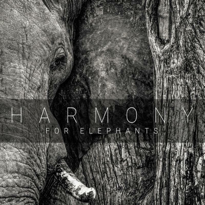 Picture of Various Artists - Harmony For Elephants