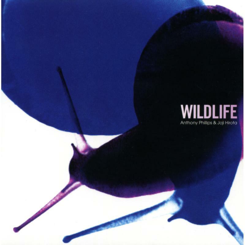 Picture of ANTHONY PHILLIPS AND JOJI HIROTA - WILDLIFE 2CD REMASTERED AND EXPANDED EDITION
