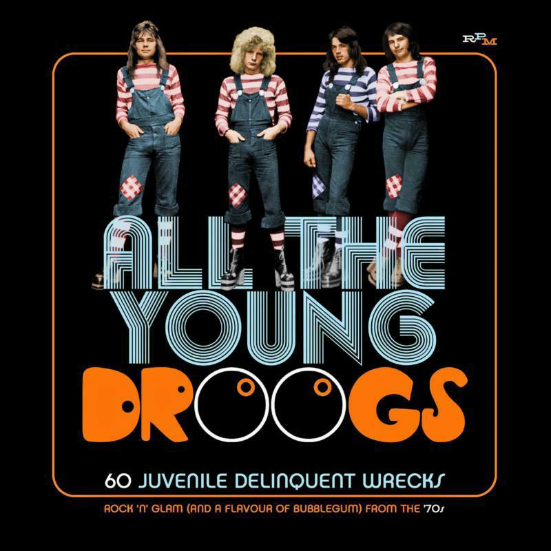 Picture of Various Artists - All The Young Droogs: 60 Juvenile Delinquent Wrecks