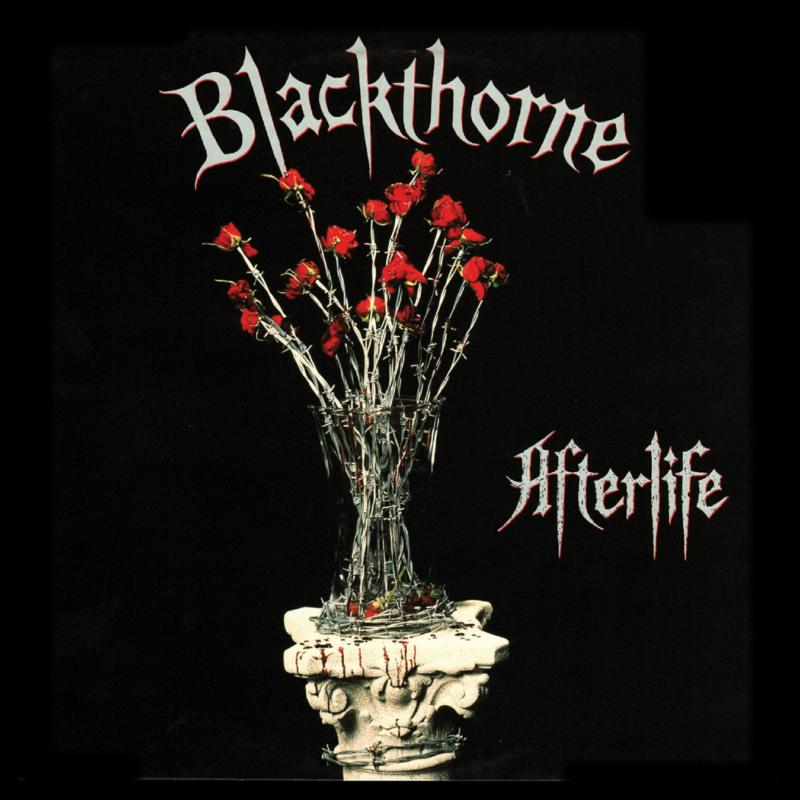 Picture of Blackthorne - Afterlife
