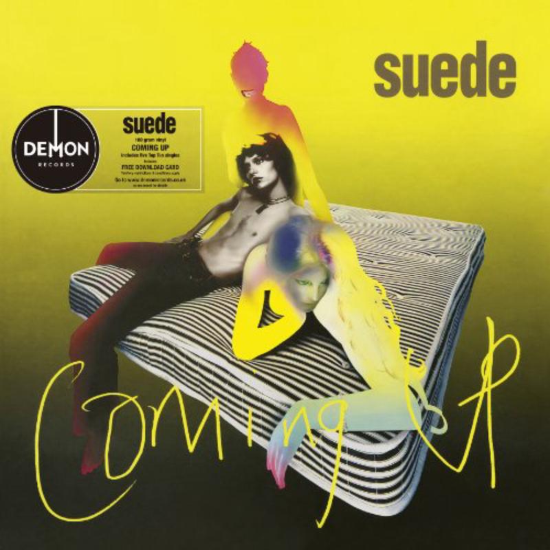 Picture of Suede - Coming Up
