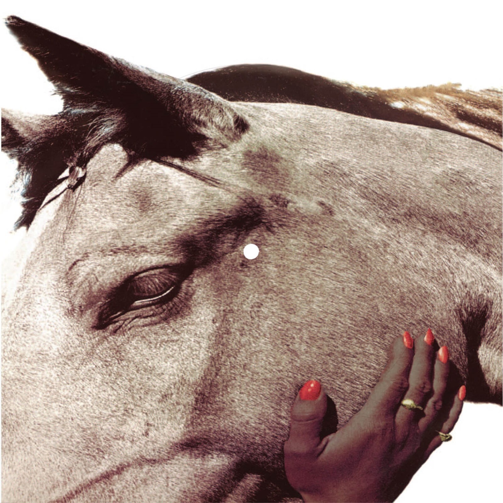 Picture of Suede - The Wild Ones (Picture Disc)