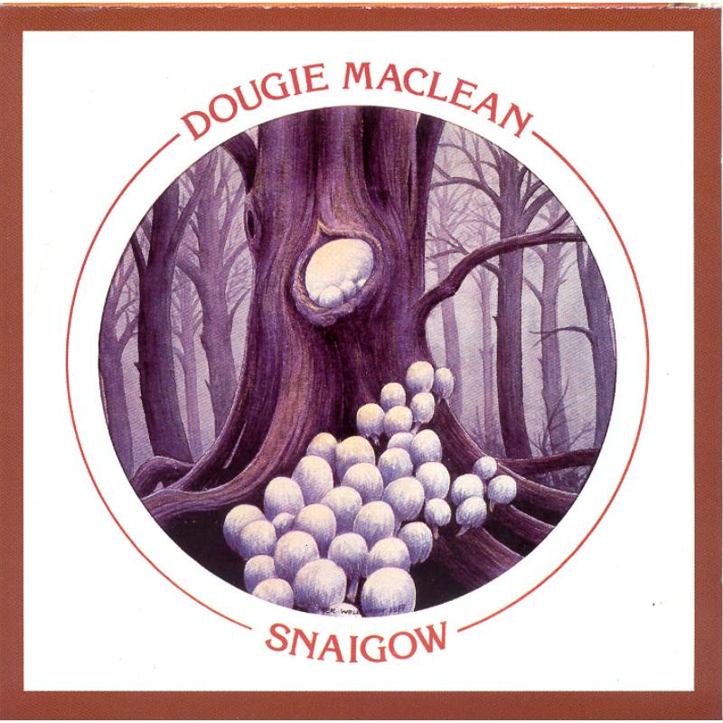 Picture of Dougie MacLean - Snaigow