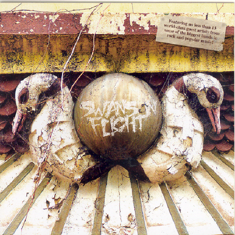 Picture of Swans in Flight - Swans in Flight