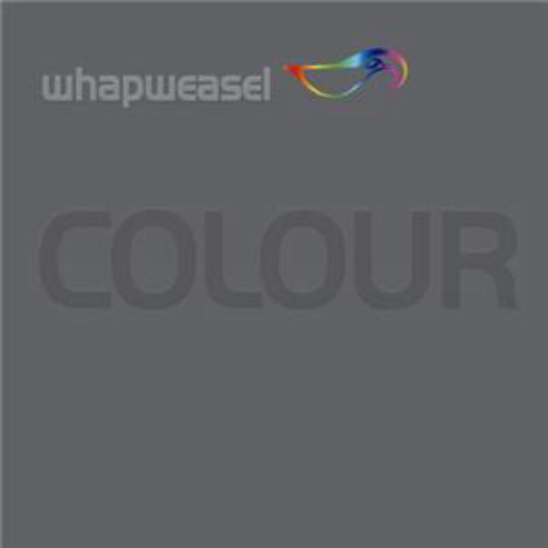 Picture of Whapweasel - Colour