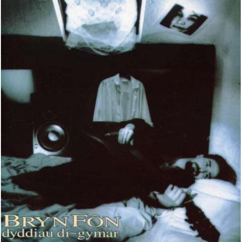 Picture of Bryn Fon - Dyddiau Di-Gymar