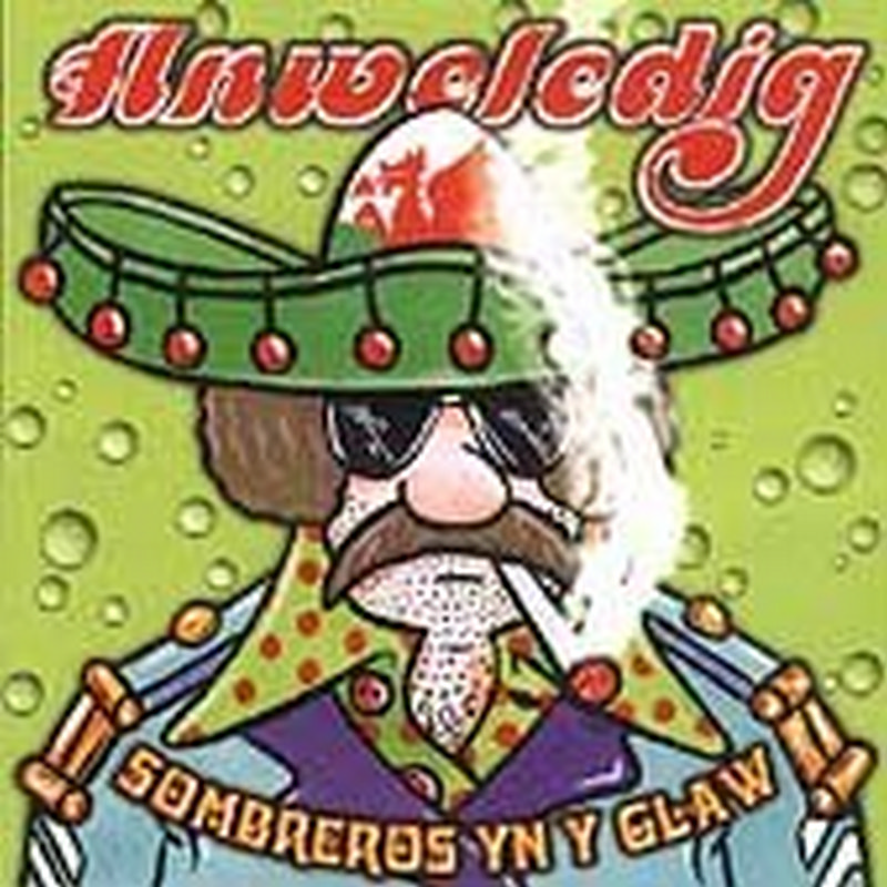 Picture of Anweledig - Sombreros Yn y Glaw