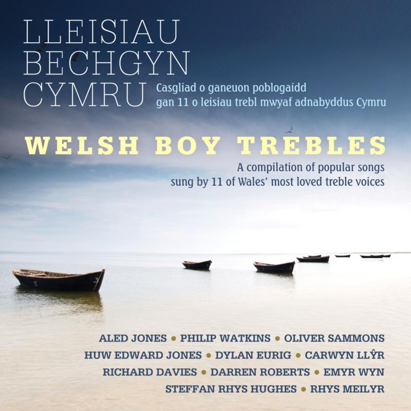 Picture of Various Artists - Welsh Boy Trebles
