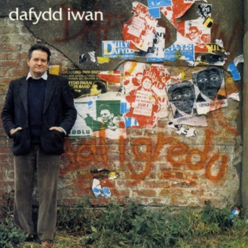 Picture of Dafydd Iwan - Daligredu