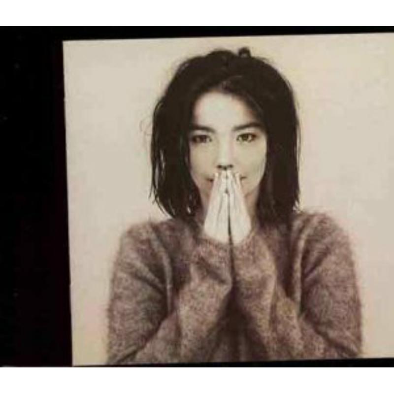 Picture of Bjork - Debut