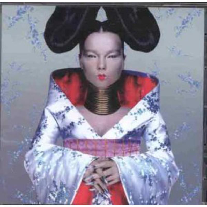 Picture of Bjork - Homogenic
