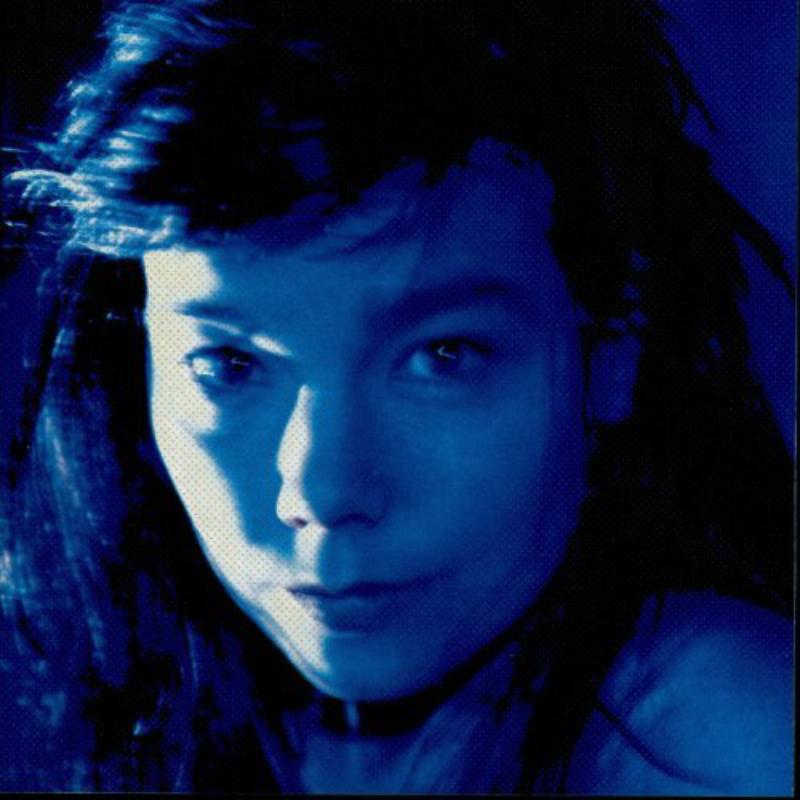 Picture of Bjork - Telegram