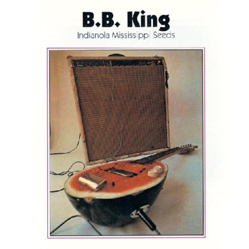 Picture of B.B. King - Indianola Mississippi Seeds