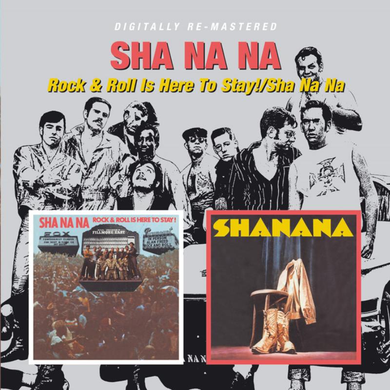 Picture of Sha Na Na - Rock & Roll Is Here To Stay!/Sha Na Na