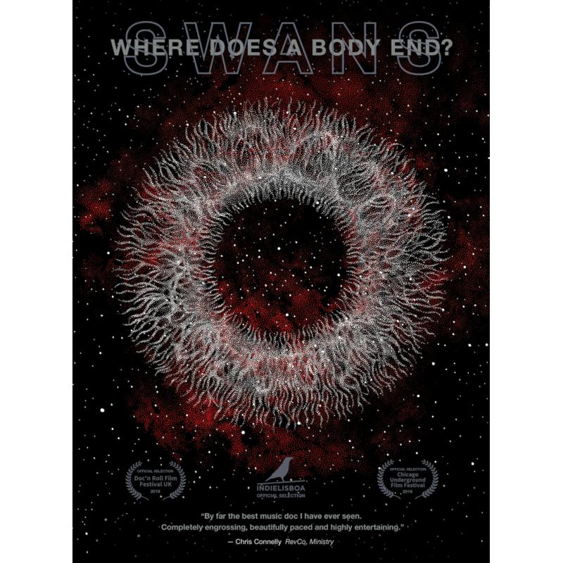 Picture of Swans - Where Does A Body End?