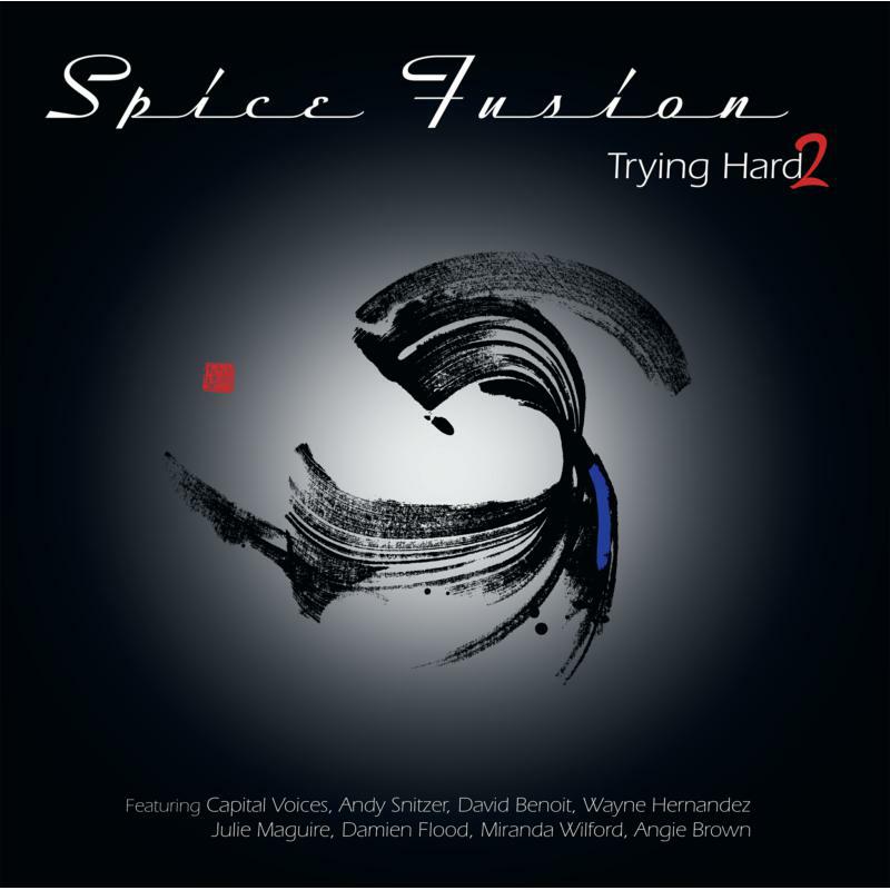 Picture of Spice Fusion - Trying Hard 2