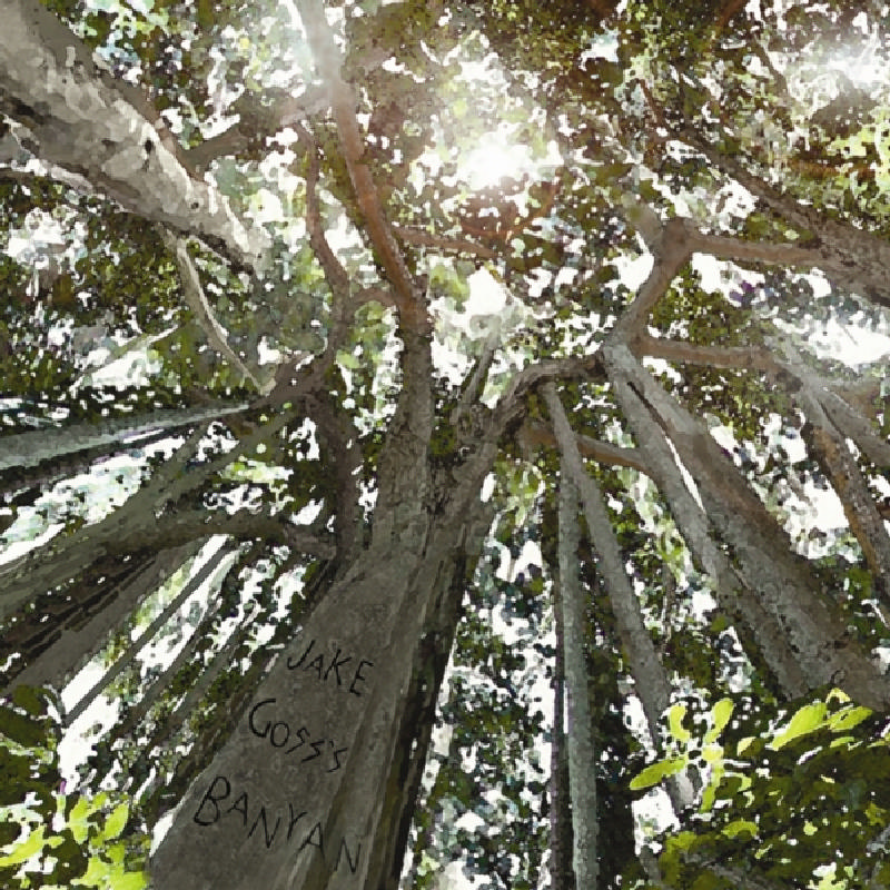 Picture of Jake Goss's Banyan - Looking Up