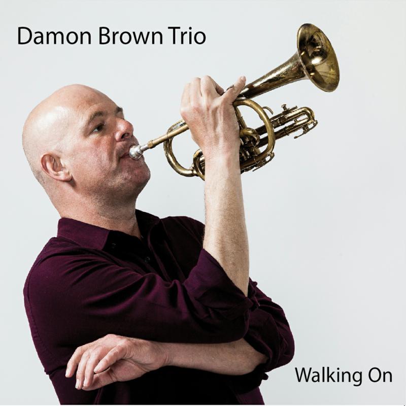 Picture of Damon Brown - Walking On