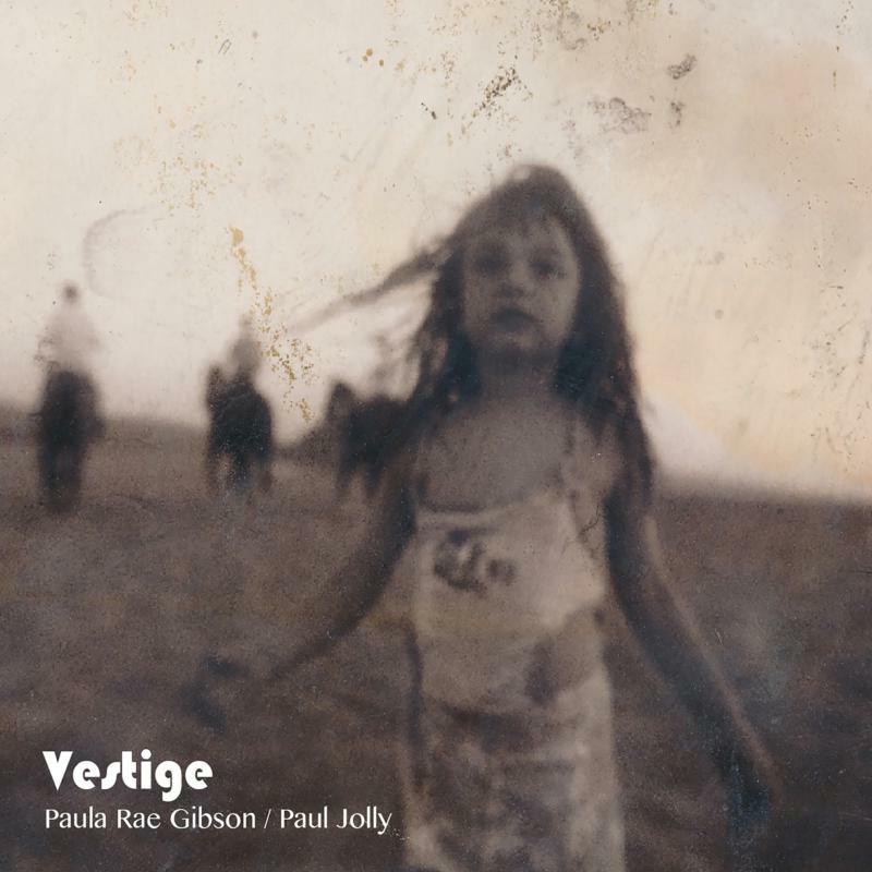 Picture of Paula Rae Gibson & Paul Jolly - Vestige