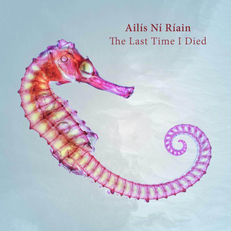 Picture of Evelyn Glennie, New London Chamber Ensemble, Darren Bloom, Exponential Ensemble, Psappha - Ailis Ni Riain: The Last Time I Died