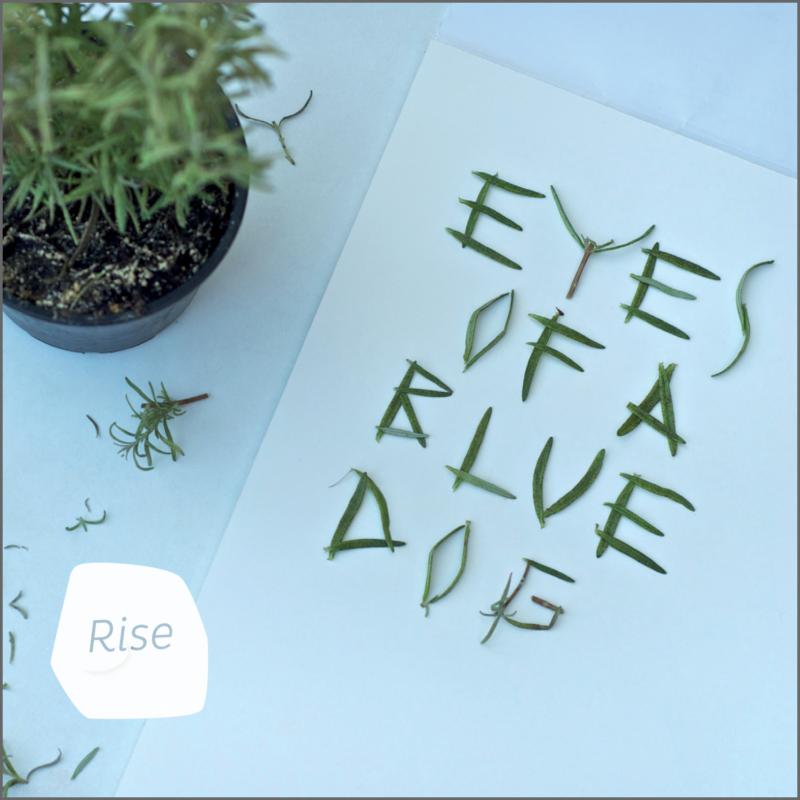 Picture of Eyes Of A Blue Dog - Rise