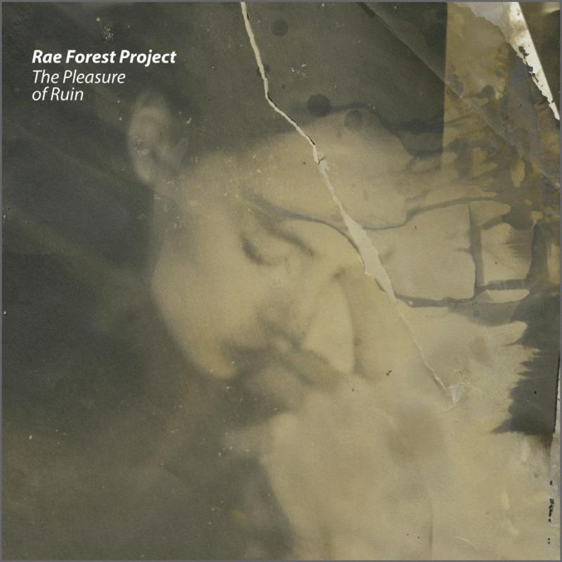Picture of Rae Forest Project - The Pleasure Of Ruin