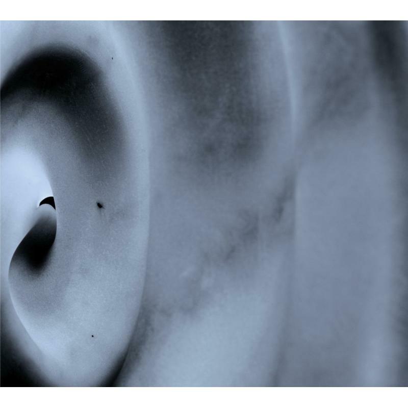 Picture of D'voxx - Telegraphe