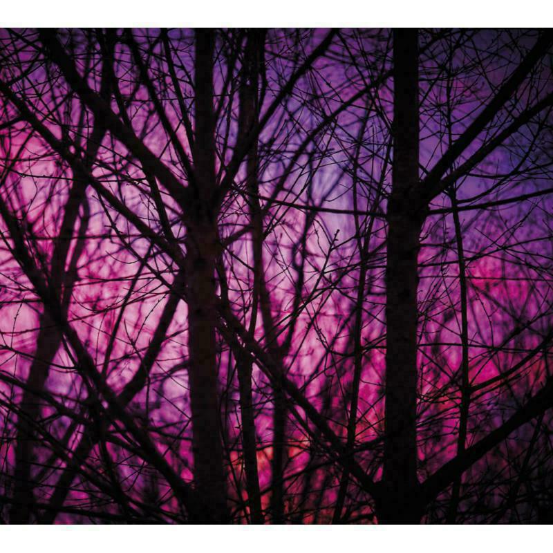 Picture of Dave Bessell - Reality Engine