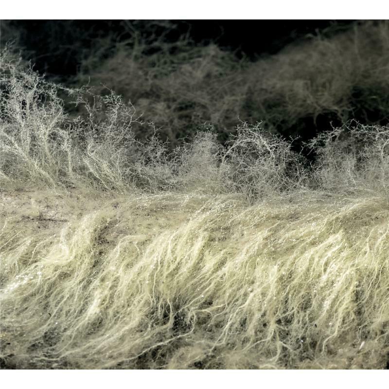 Picture of Lyonel Bauchet - The Diver