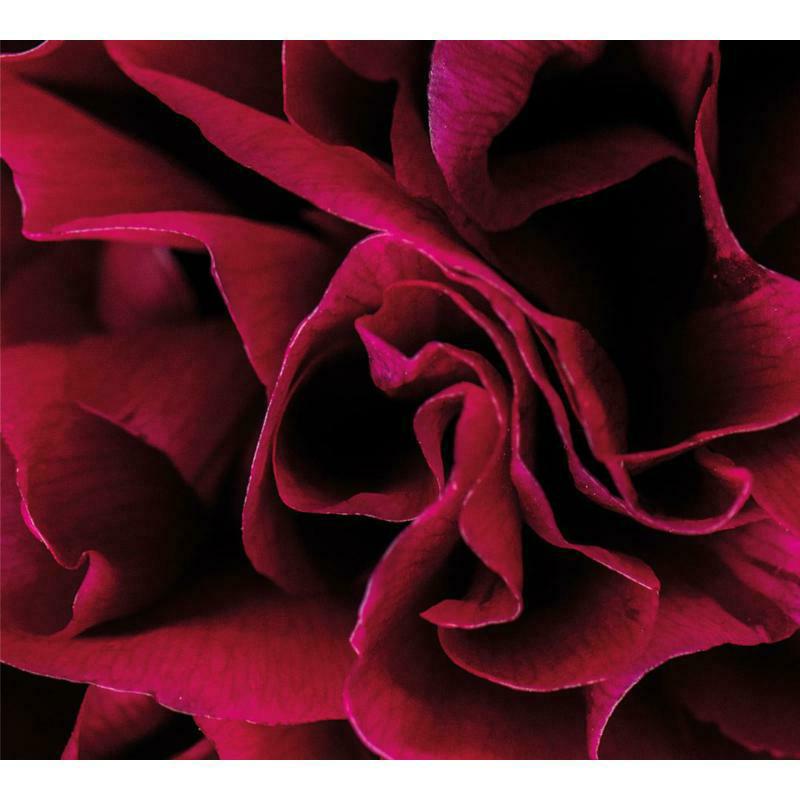 Picture of Ian Boddy - Coil