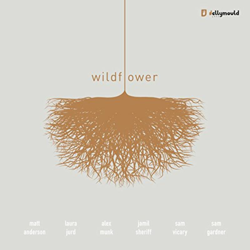 Picture of Matt Anderson's Wildflower Sextet - Wildflower