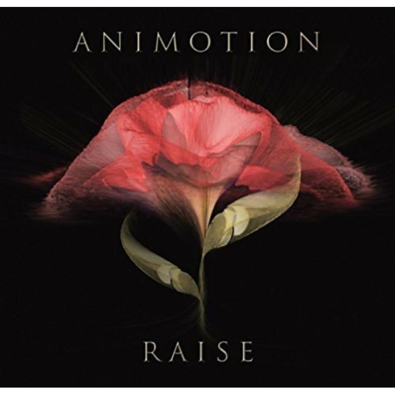 Picture of Animotion - Raise Your Expectations