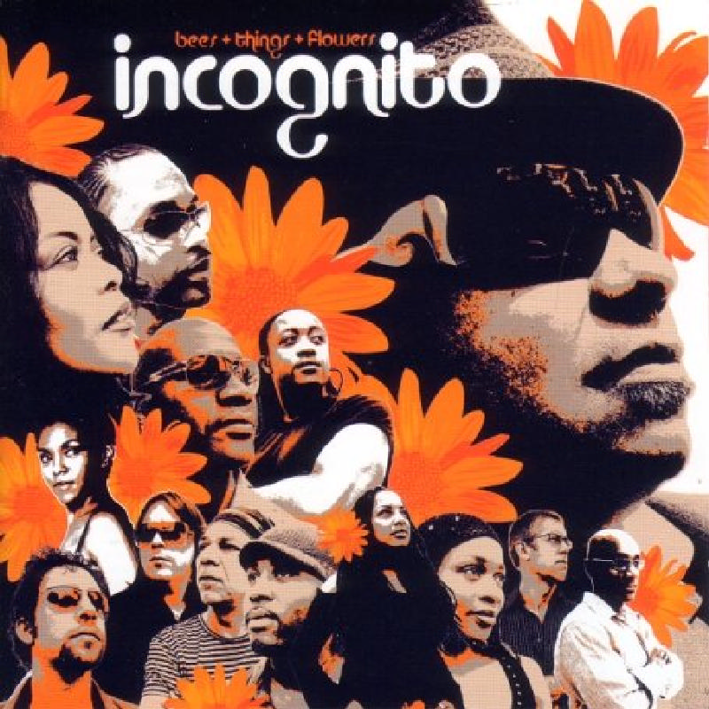 Picture of Incognito - Bees And Things And Flowers