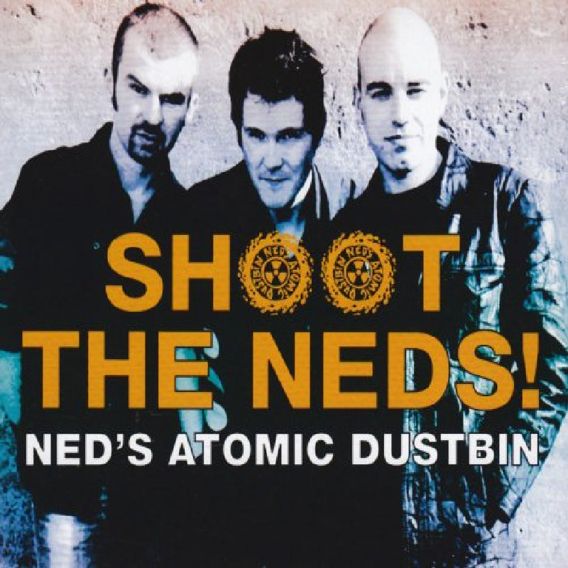 Picture of Ned's Atomic Dustbin - Shoot The Neds!