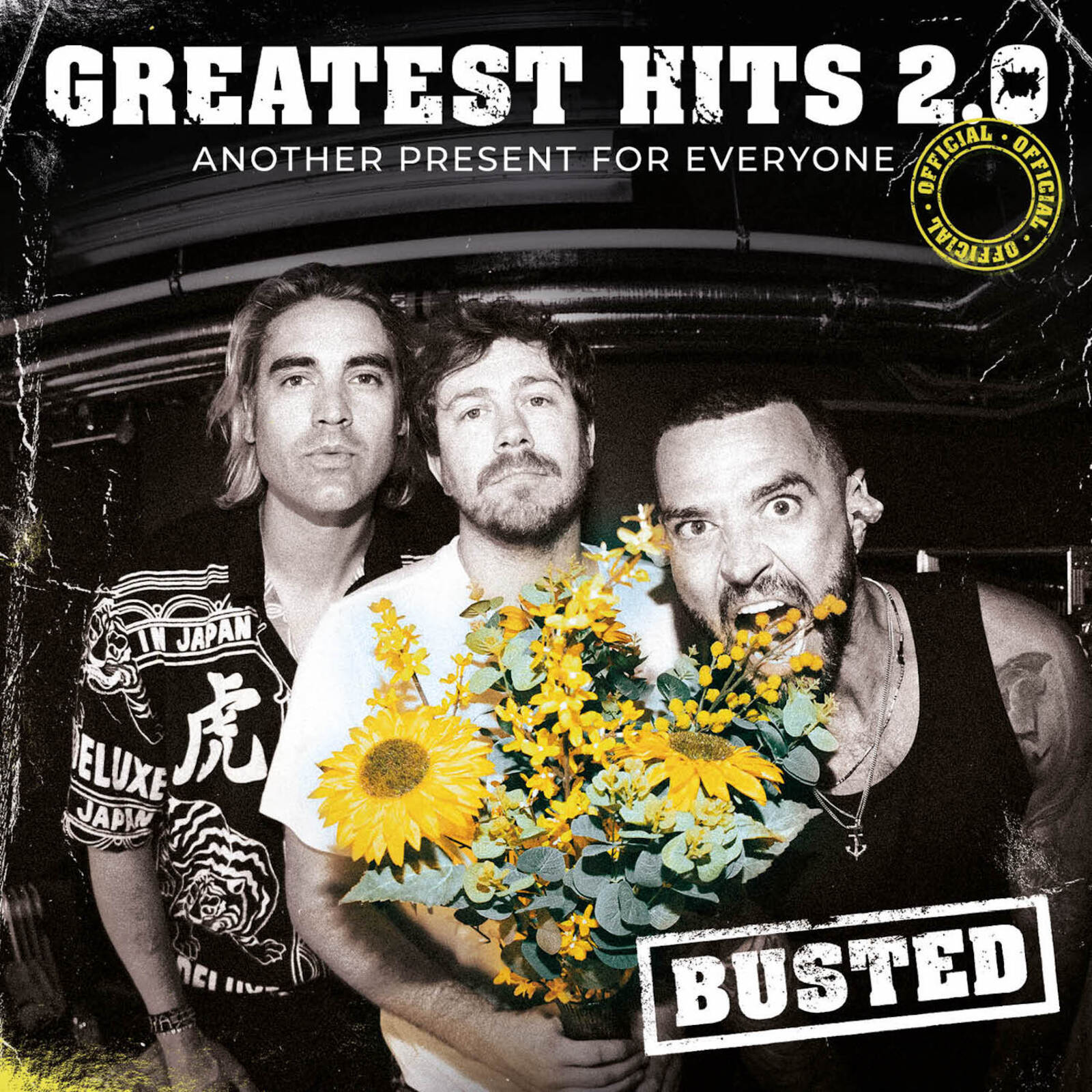 Picture of Busted - Greatest Hits 2.0 (Another Present For Everyone)