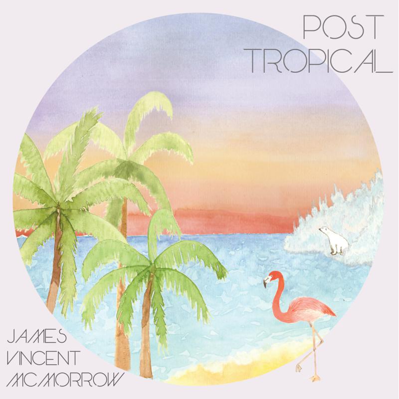Picture of James Vincent McMorrow - Post Tropical