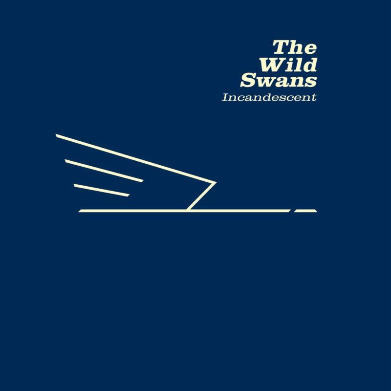 Picture of Wild Swans - Incandescent