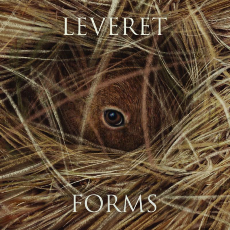 Picture of Leveret - Forms