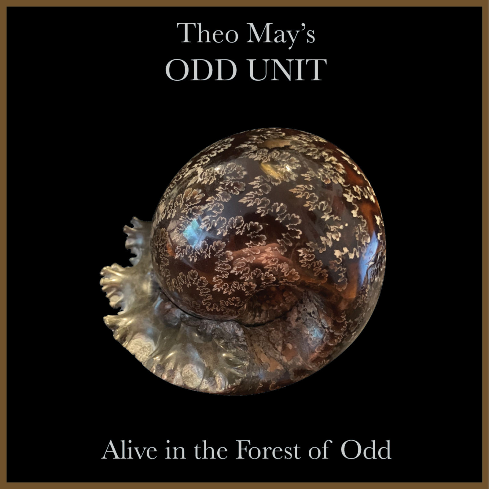 Picture of Theo May's Odd Unit - Alive in the Forest of Odd
