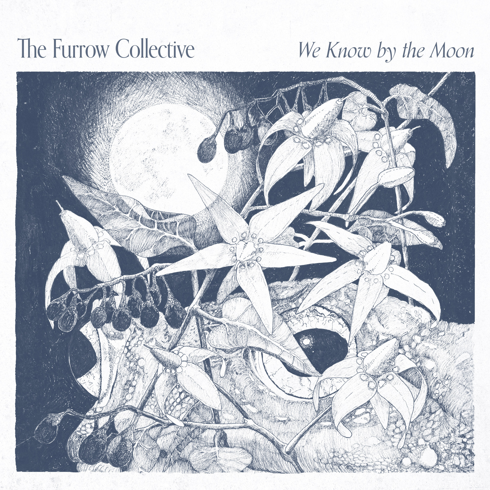 Picture of The Furrow Collective - We Know by the Moon