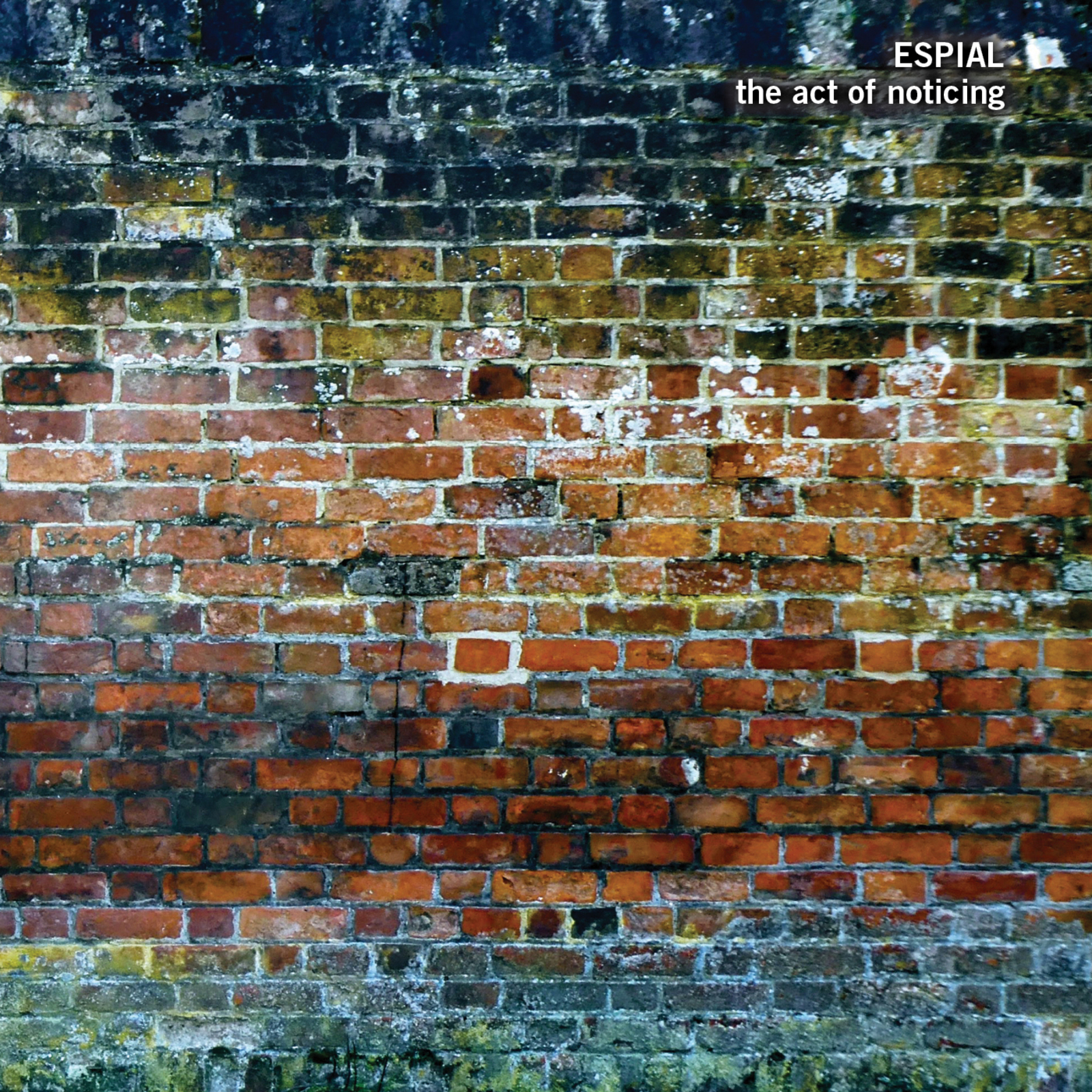 Picture of Espial - The Act of Noticing