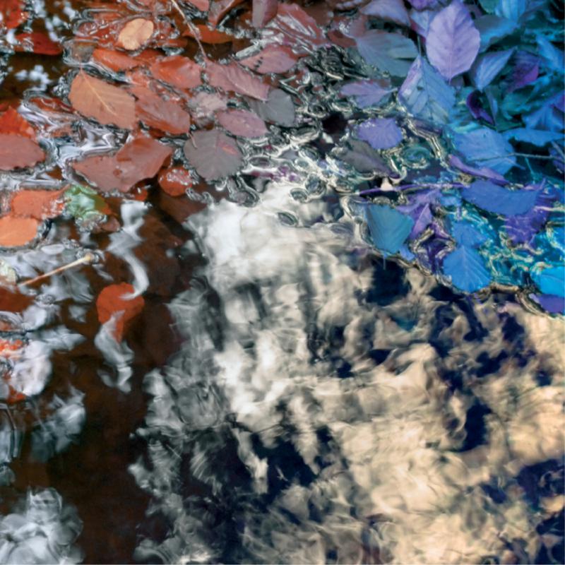 Picture of Inclusion Principle - The leaf factory fallback